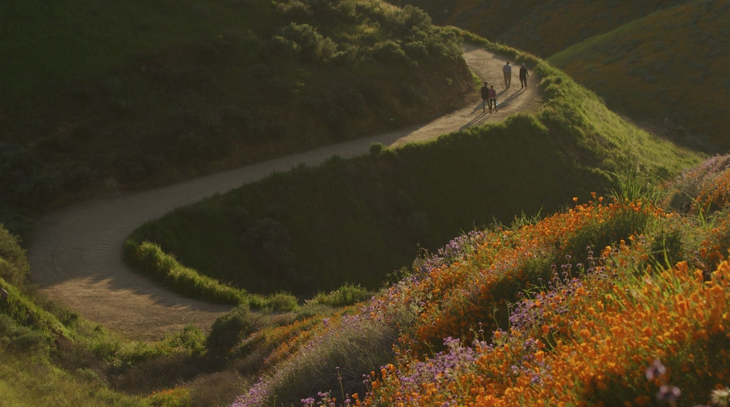 A winding dirt road through a hilly landscape with people walking along it.