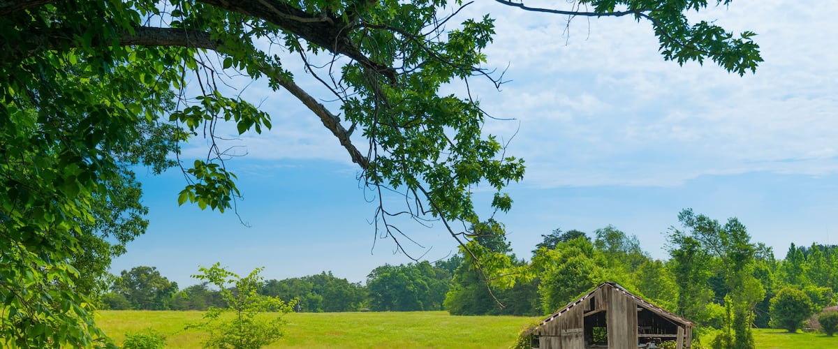 Old Barn in a Hayfield