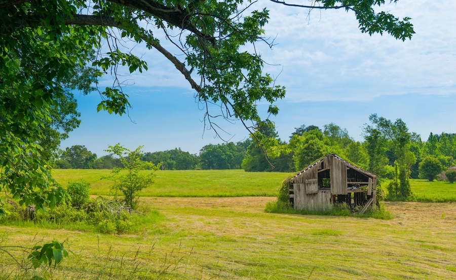 Old Barn in a Hayfield