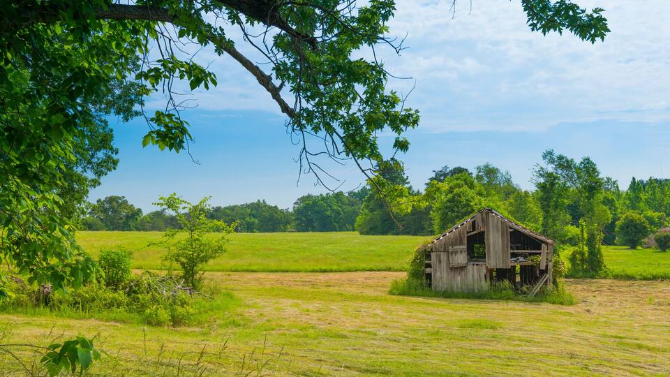 A rural landscape with a dilapidated wooden barn surrounded by lush green fields and trees.