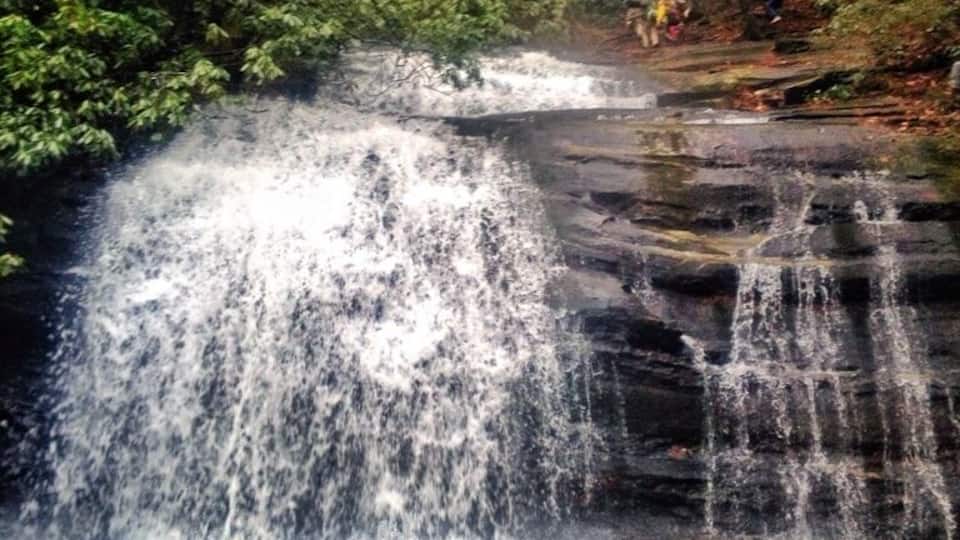 A waterfall cascading over a rocky ledge surrounded by dense forest.
