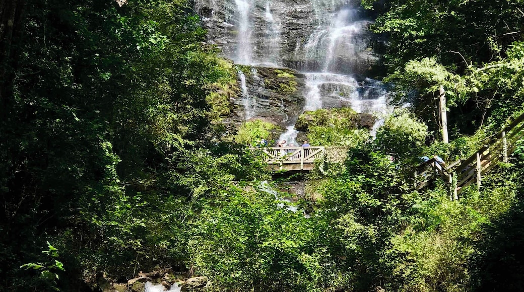 Great hike up to the falls.