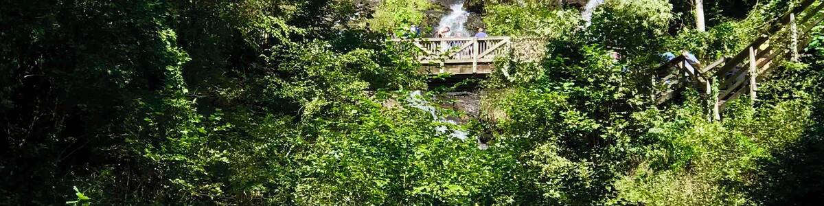 Great hike up to the falls.