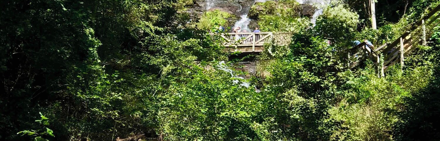 Great hike up to the falls.