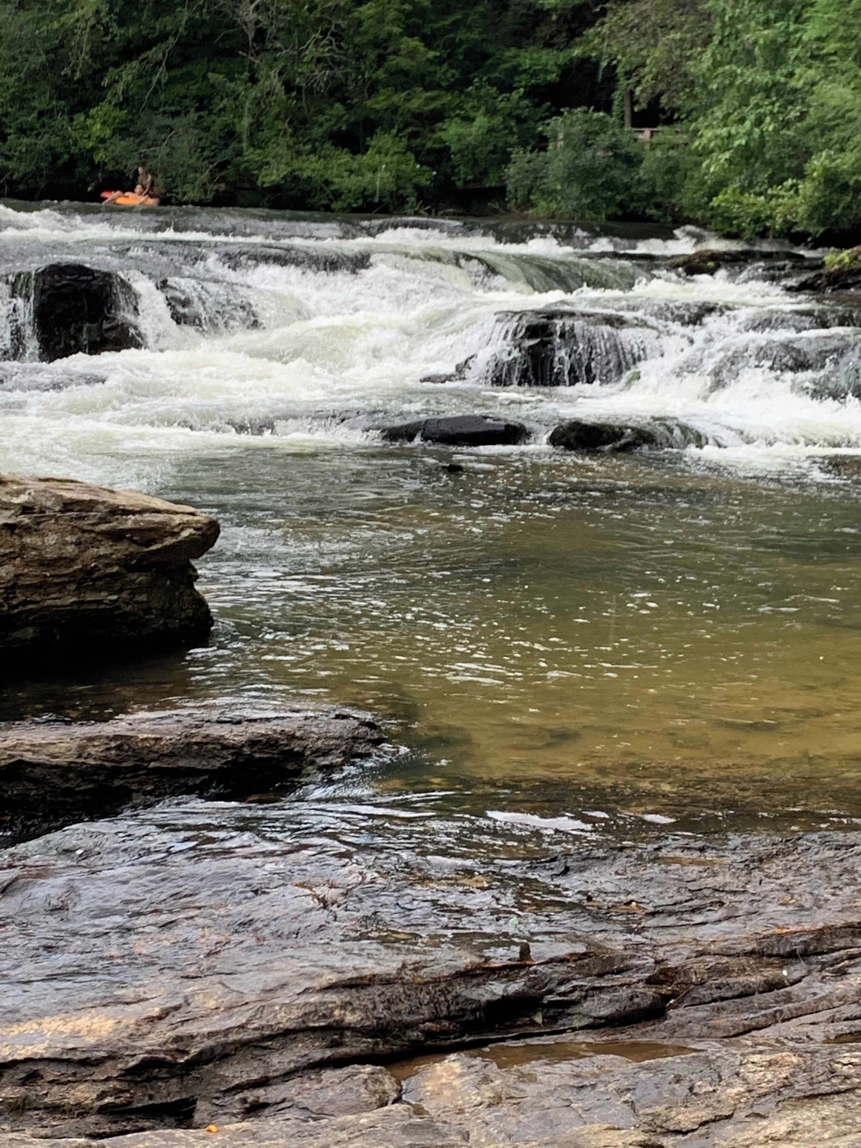 Amicalola creek is a great place for swimming