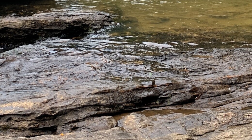 Amicalola creek is a great place for swimming