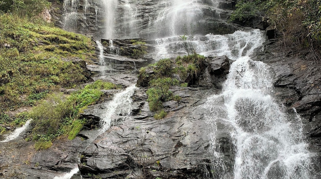 Easy hike to a beautiful falls