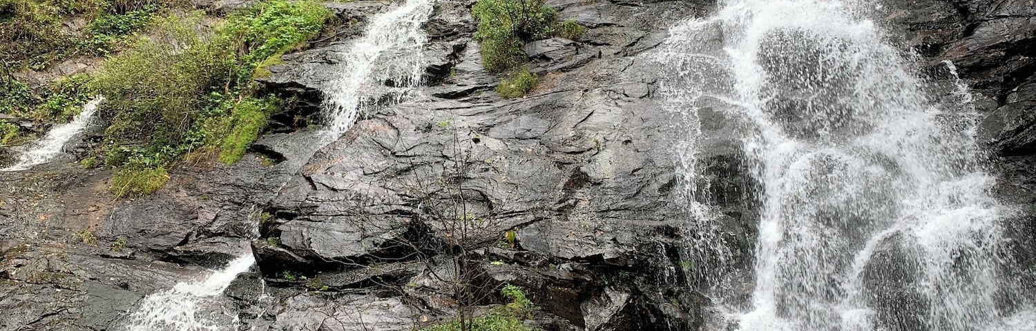 Easy hike to a beautiful falls