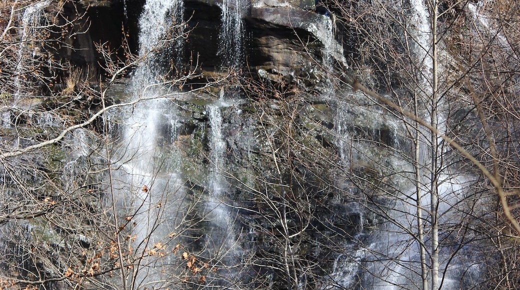 Looking up at Amicalola Falls in Dawson County, GA. The falls are 729 ft which is the highest in Georgia.