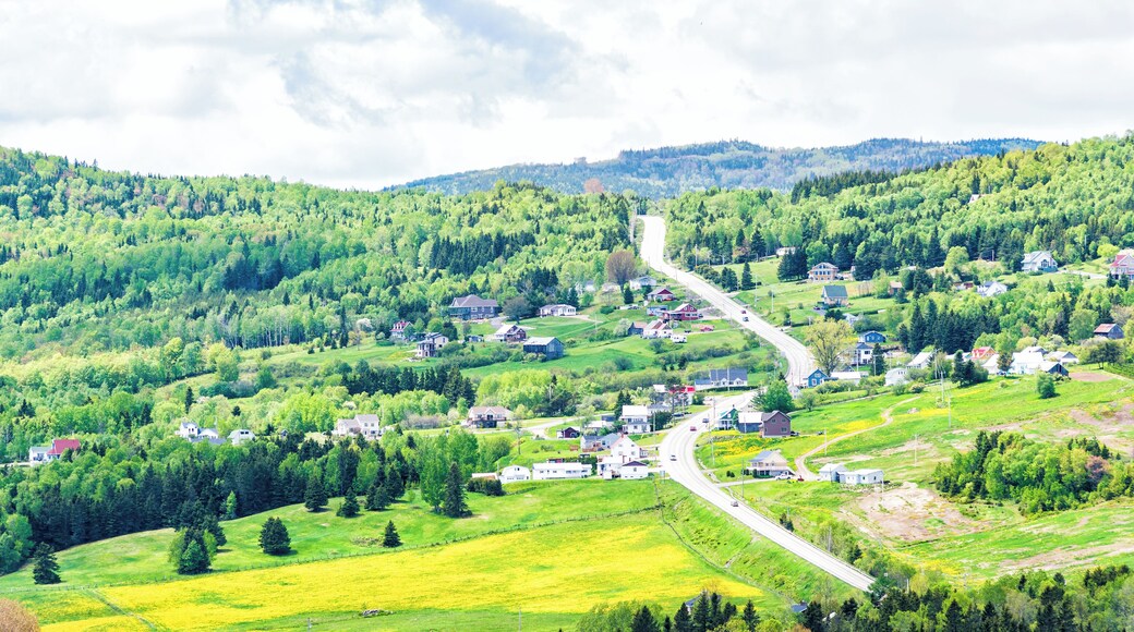 Les Eboulements, Charlevoix, Quebec, Canada cityscape or skyline with main highway steep curvy road going vertically up, patch farm green dandelion field, scattered village houses