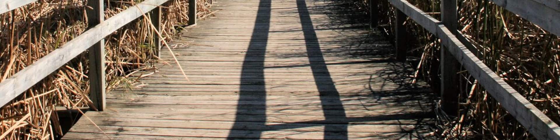 Beautiful Wildlife Reserve near Toronto.