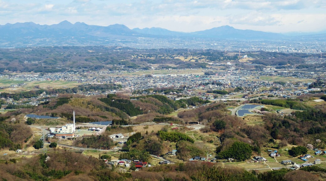 View from Mount Ushibuse (Takasaki, Gunma).