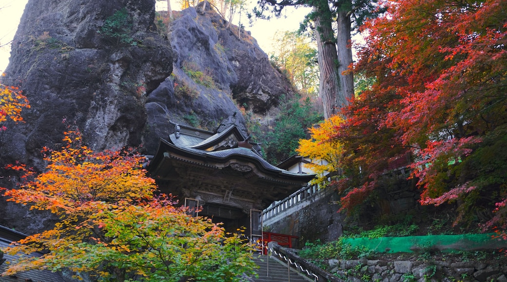 Een traditionele Japanse tempel met een stenen trap die naar een houten gebouw leidt.