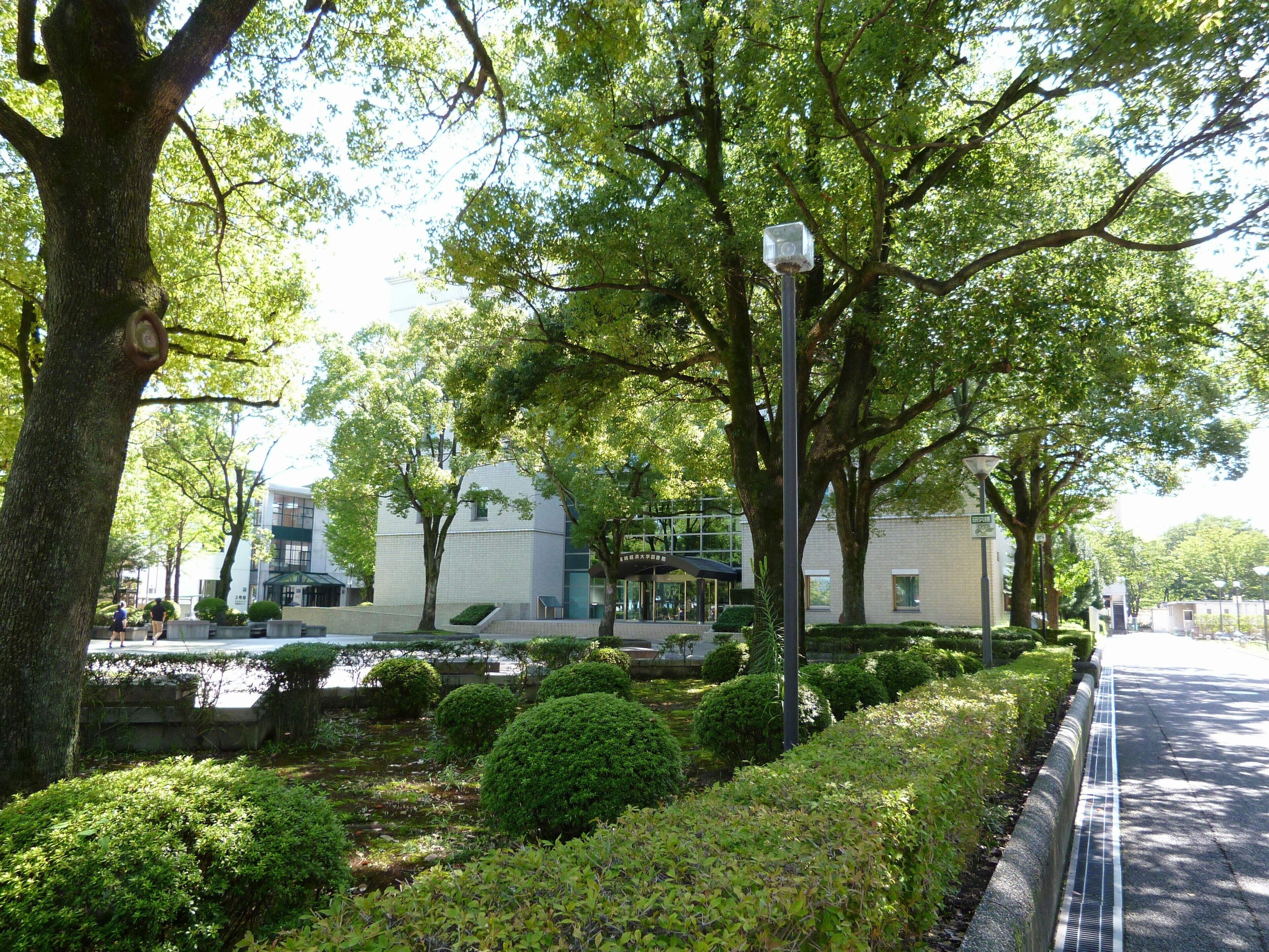 Um parque com árvores, um edifício e uma rua.