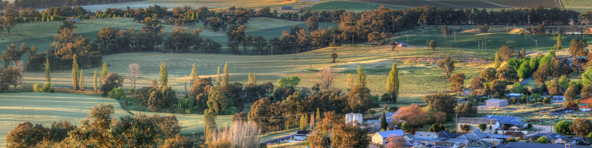 Early morning views Cowra