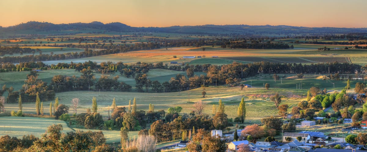 Rolling hills, fields, and scattered trees.