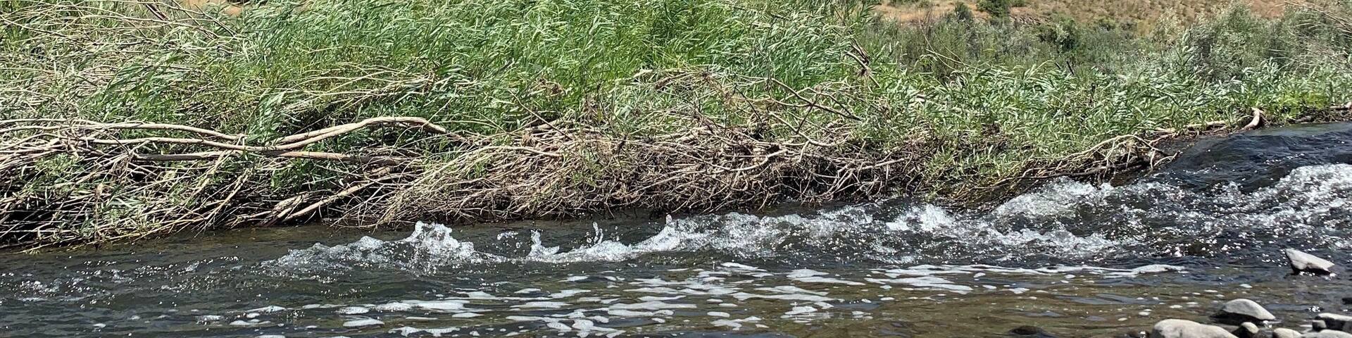 Sheep Rock is across from the Thomas Condon Paleontology Center. Beautiful part of Oregon. The star visibility out here is amazing! Even saw the Milky Way with my bare eyes!
#Nature