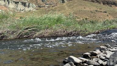 Sheep Rock is across from the Thomas Condon Paleontology Center. Beautiful part of Oregon. The star visibility out here is amazing! Even saw the Milky Way with my bare eyes!
#Nature
