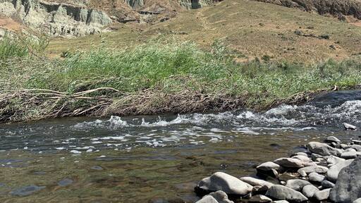 Sheep Rock is across from the Thomas Condon Paleontology Center. Beautiful part of Oregon. The star visibility out here is amazing! Even saw the Milky Way with my bare eyes!
#Nature