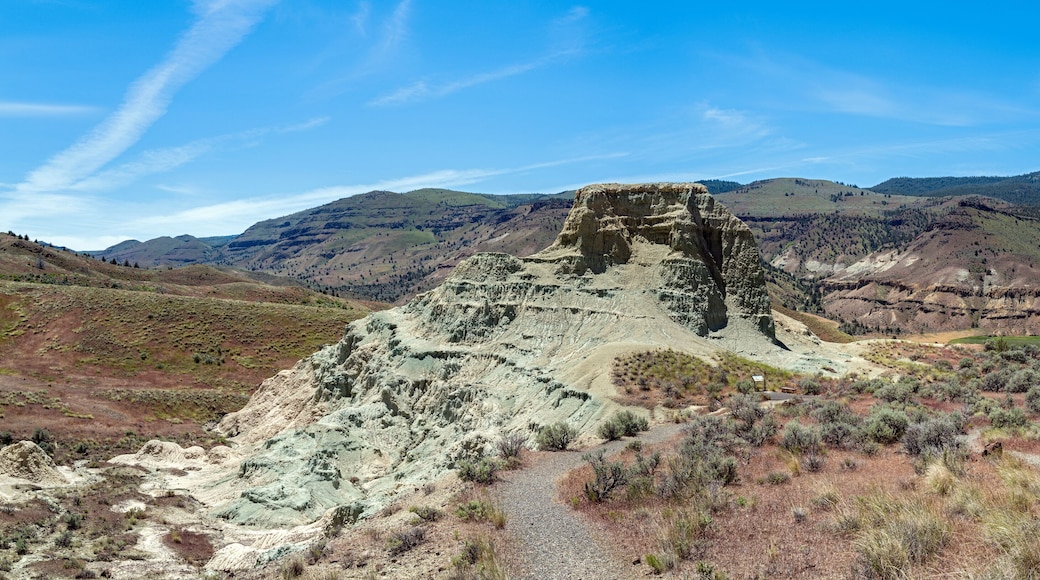 Panorama of a claystone formation at the Sheep Rock Unit of the John Day Fossil Beds National Monument in Oregon, USA