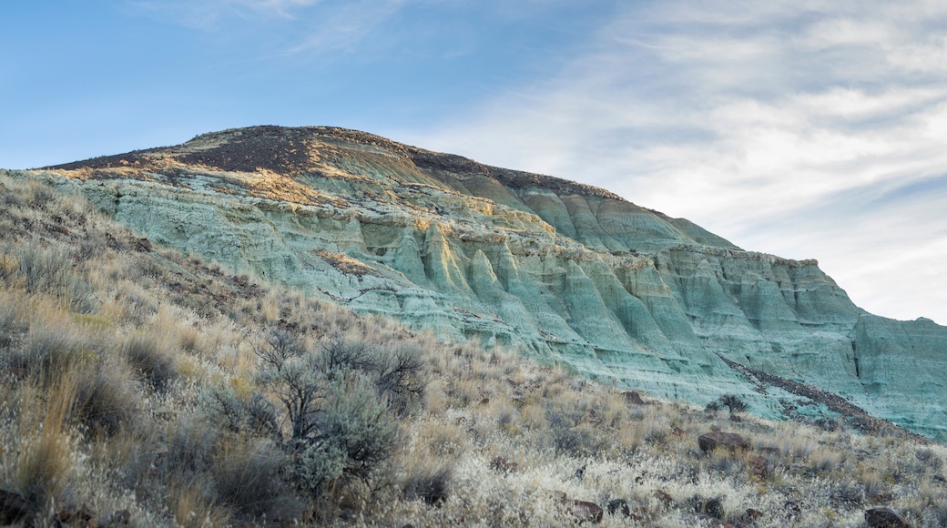 John Day Fossil Beds National Monument, Dayville, Oregon, USA