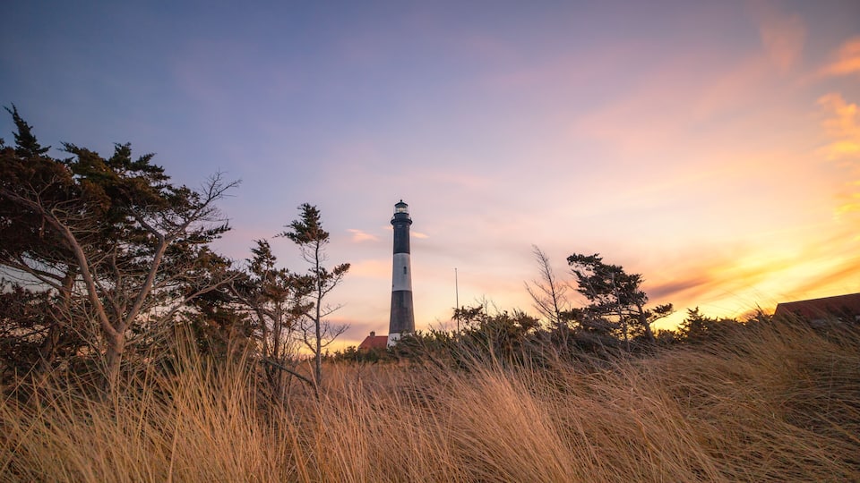 A lighthouse surrounded by tall grass and trees during sunset.