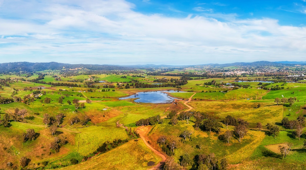 D Bega Valley Short Mid pan