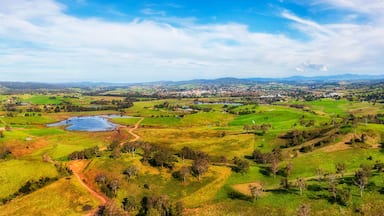 D Bega Valley Short Mid pan