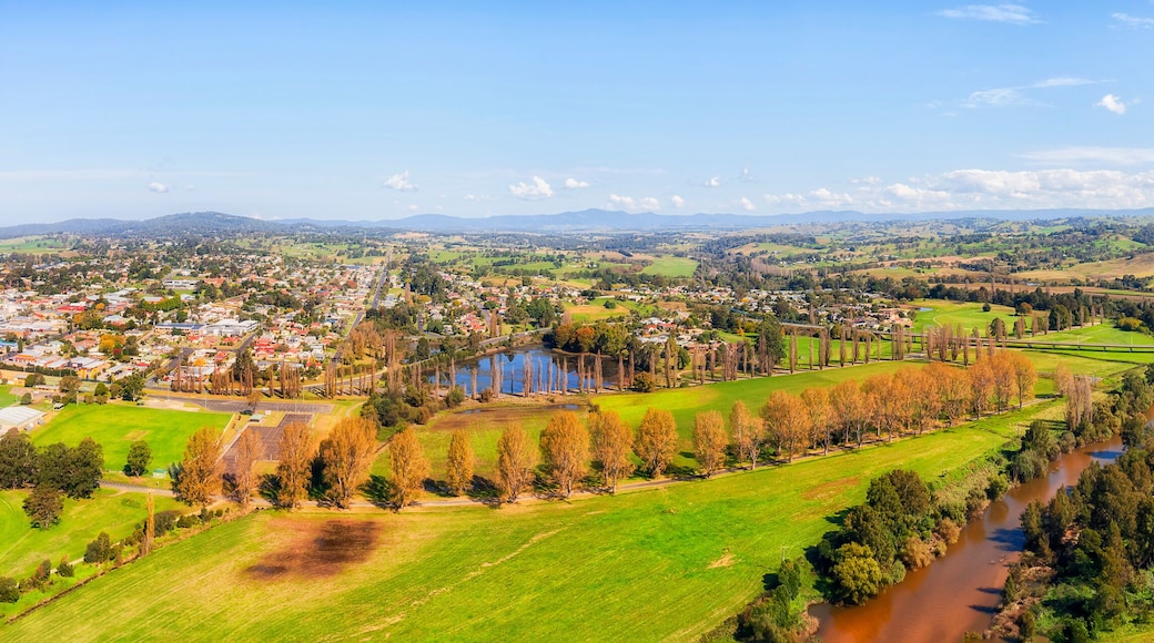 D Bega River 2 cheese factory