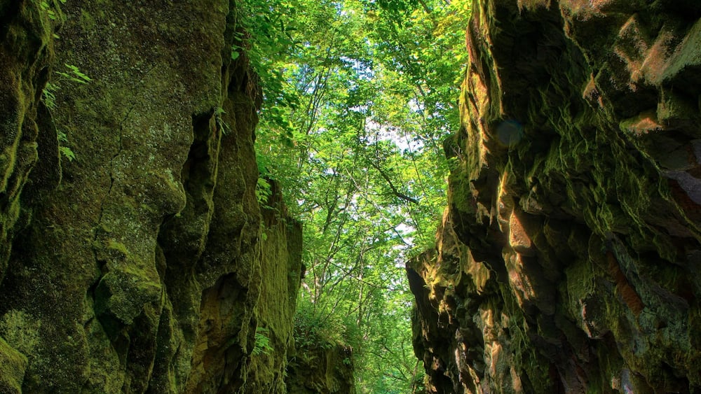 Tarumae Garo Ravine
