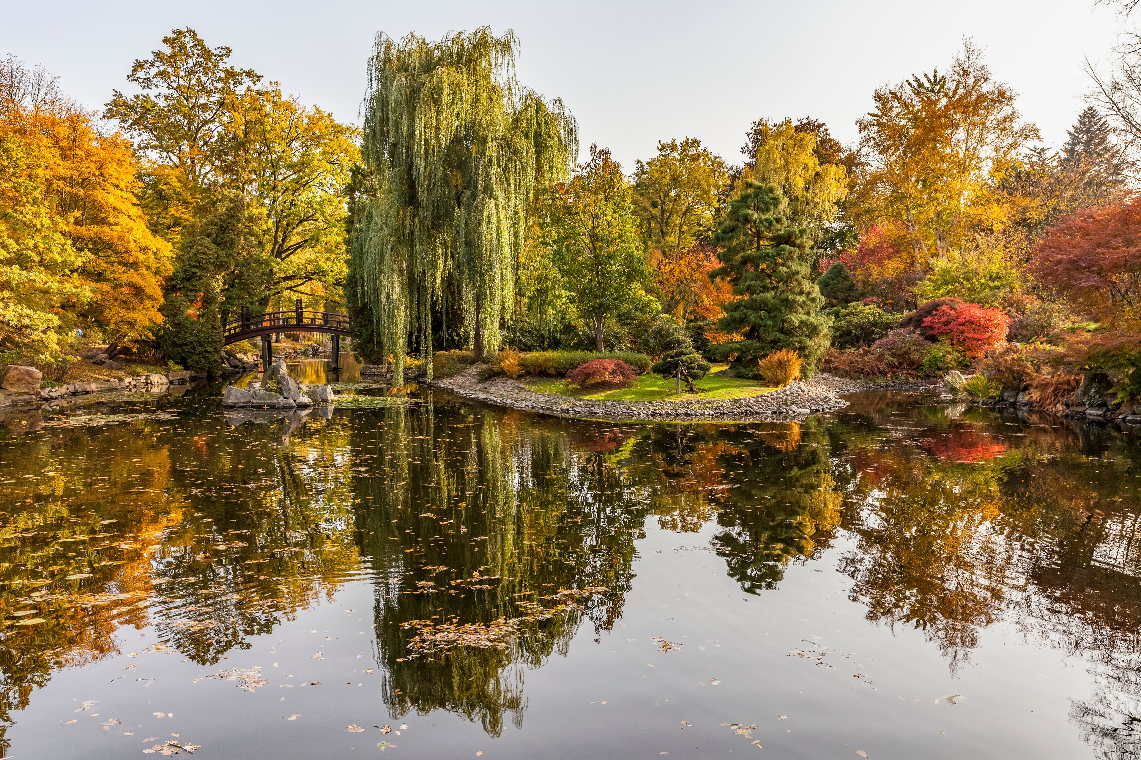 Autumn colours in the Japanese Garden, Szczytnicki Park; Wroclaw, Silesia, Poland