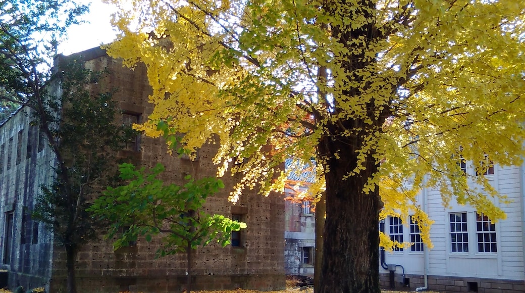 An old building (left) thought to be the library of Utsunomiya College of Agriculture and Forestry, one of the predecessors of Utsunomiya University, and Minegaoka Auditorium (right). Located in Utsunomiya, Tochigi, Japan.