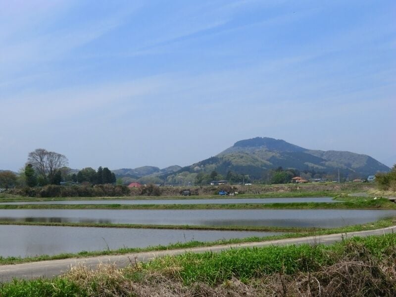Paisagem rural com estrada, plantações de arroz e uma colina ao fundo com casas.