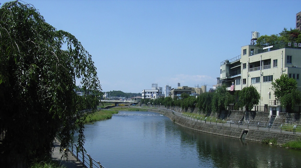 Ta River (Tagawa). Utsunomiya, Tochgi prefecture, Japan. From the Saiwai Bridge.