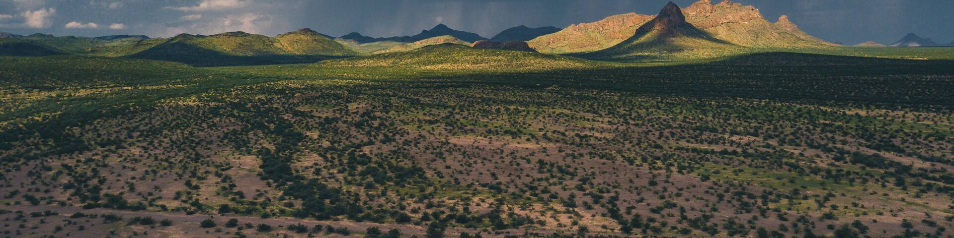 desert landscape aerial