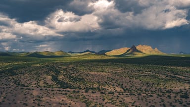 A desert landscape with scattered vegetation and a prominent mountain range in the background.
