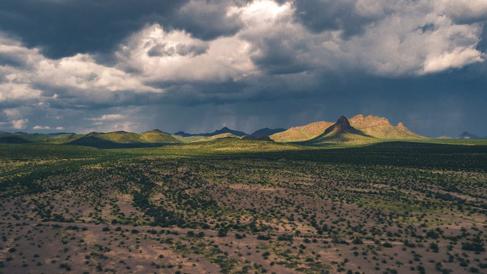 A desert landscape with scattered vegetation and a prominent mountain range in the background.