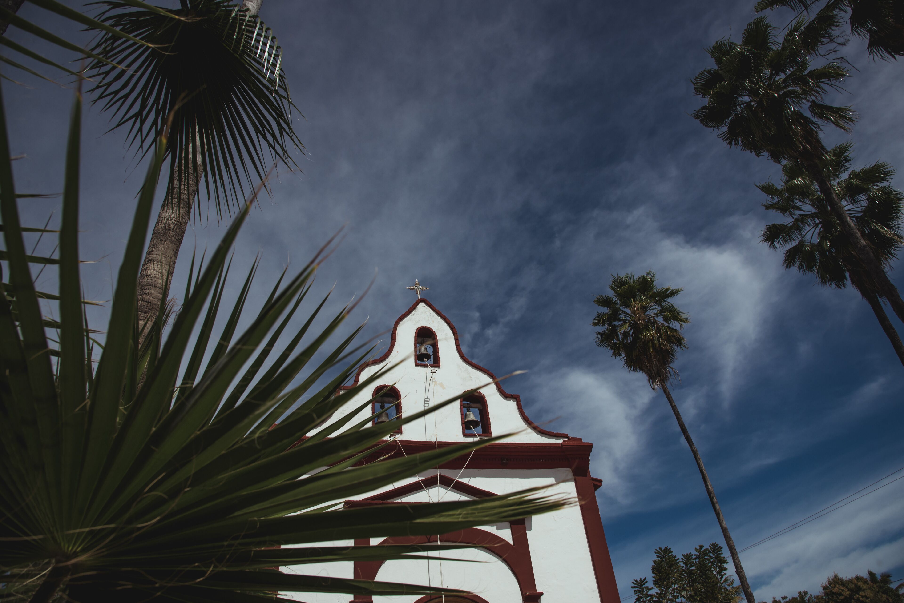  Low angle view of Miraflores Church seen from behinh a palm leave. 
East Cape region of Los Cabos