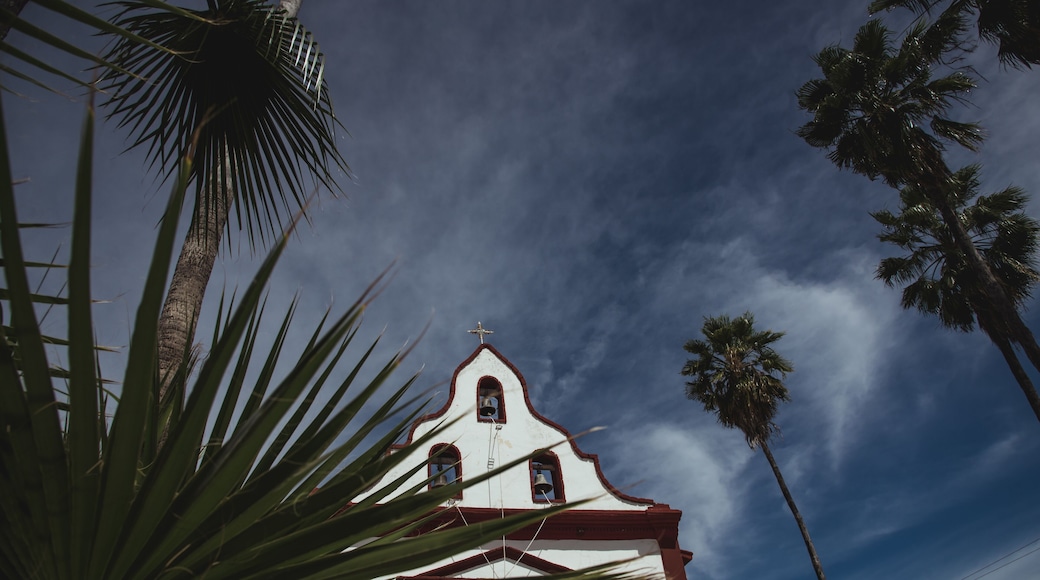 Low angle view of Miraflores Church seen from behinh a palm leave.
East Cape region of Los Cabos