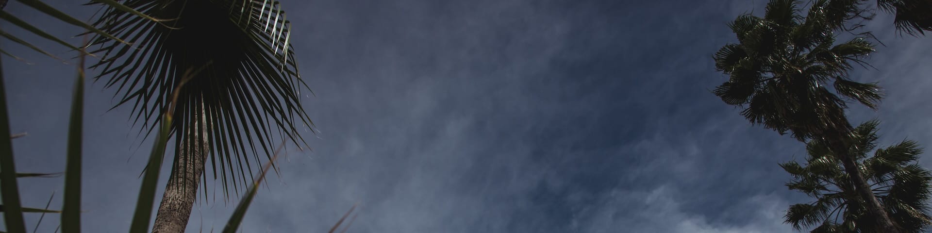 Low angle view of Miraflores Church seen from behinh a palm leave.
East Cape region of Los Cabos
