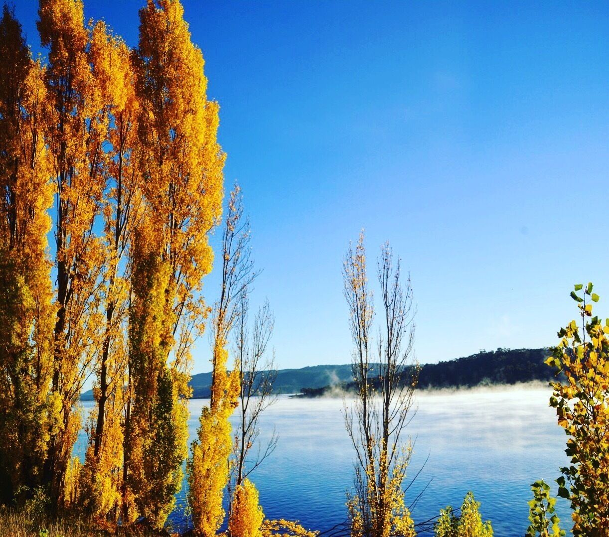 ...Lake Jindabyne early on a late Autumn morning. Such a beautiful sight with the golden trees and the fog resting on top of the water.