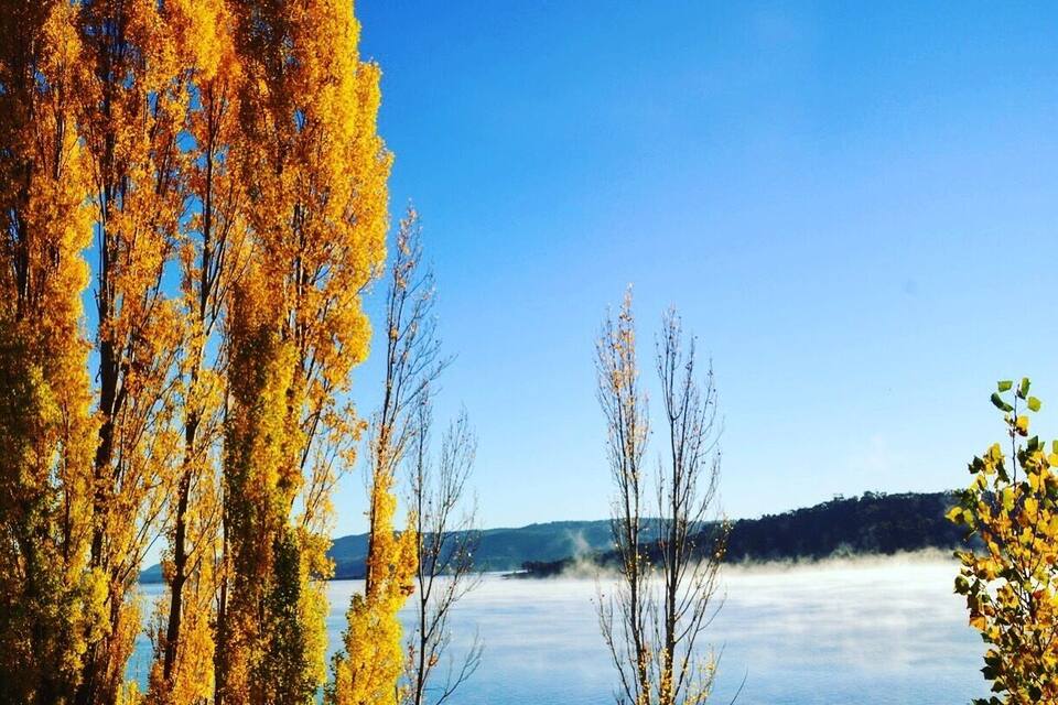 A lake surrounded by autumn trees with yellow leaves.