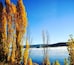 ...Lake Jindabyne early on a late Autumn morning. Such a beautiful sight with the golden trees and the fog resting on top of the water.