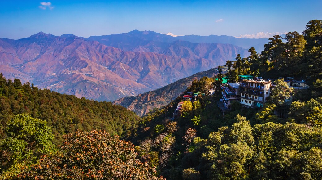 Camel back road in mussoorie INdia