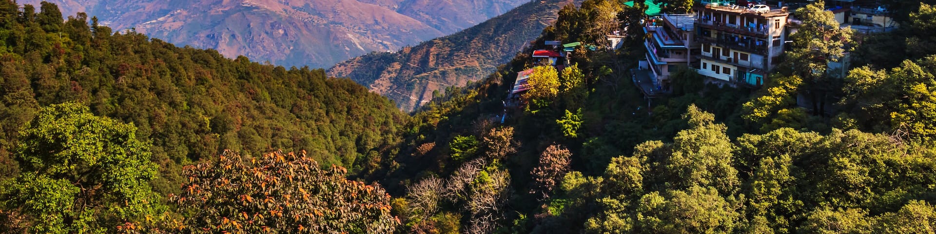 Camel back road in mussoorie INdia
