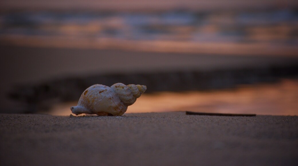 Beautiful sunrise at the beach at Hulsig near Skagen
#sunrise #ocean #beach #skagen #denmark
