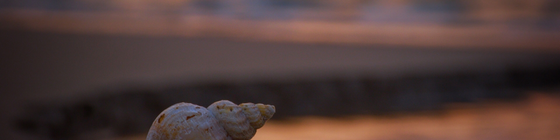 Beautiful sunrise at the beach at Hulsig near Skagen
#sunrise #ocean #beach #skagen #denmark