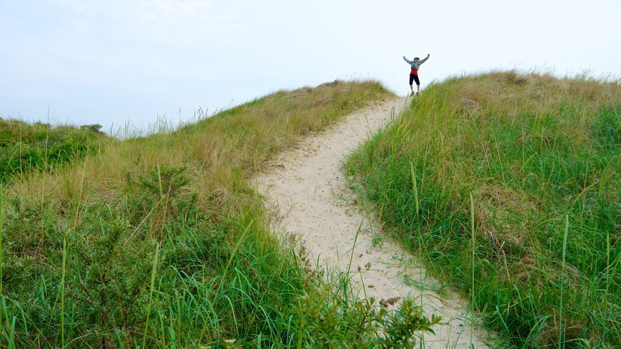 Skagen featuring tranquil scenes and hiking or walking