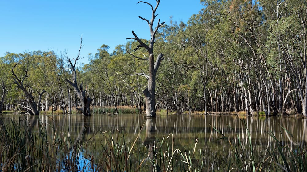 Gogeldrie Weir Scene