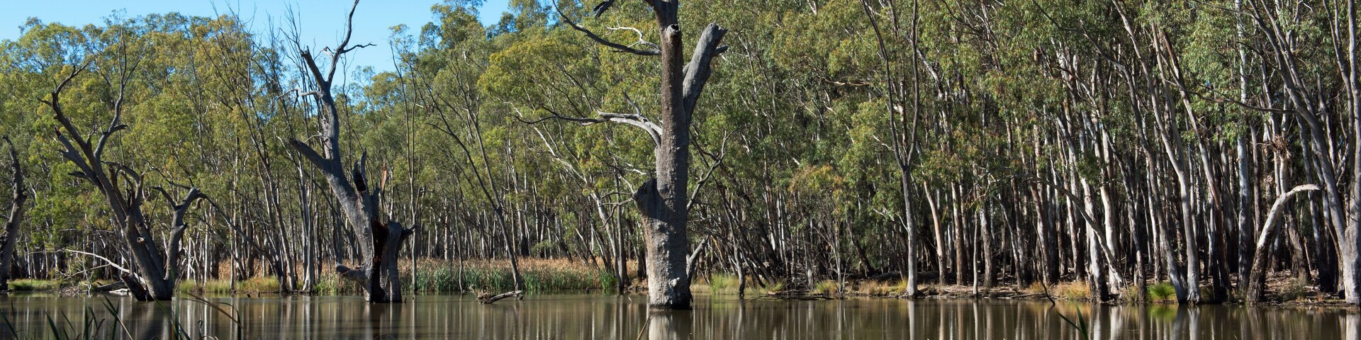 Gogeldrie Weir Scene
